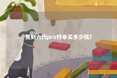 悦刻六代pro杆单买多少钱？