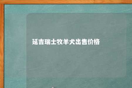 延吉瑞士牧羊犬出售价格